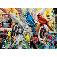 ODP Backyard Birds - 1000 Piece Puzzle