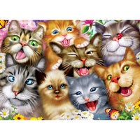 ODP Purrfect Portraits - 1000 Piece Puzzle