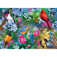 ODP Songbird Collage - 300 Piece Puzzle