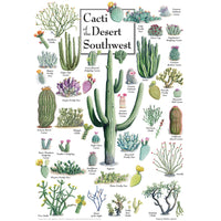 ODP Cacti Of The Desert - 500 Piece Puzzle