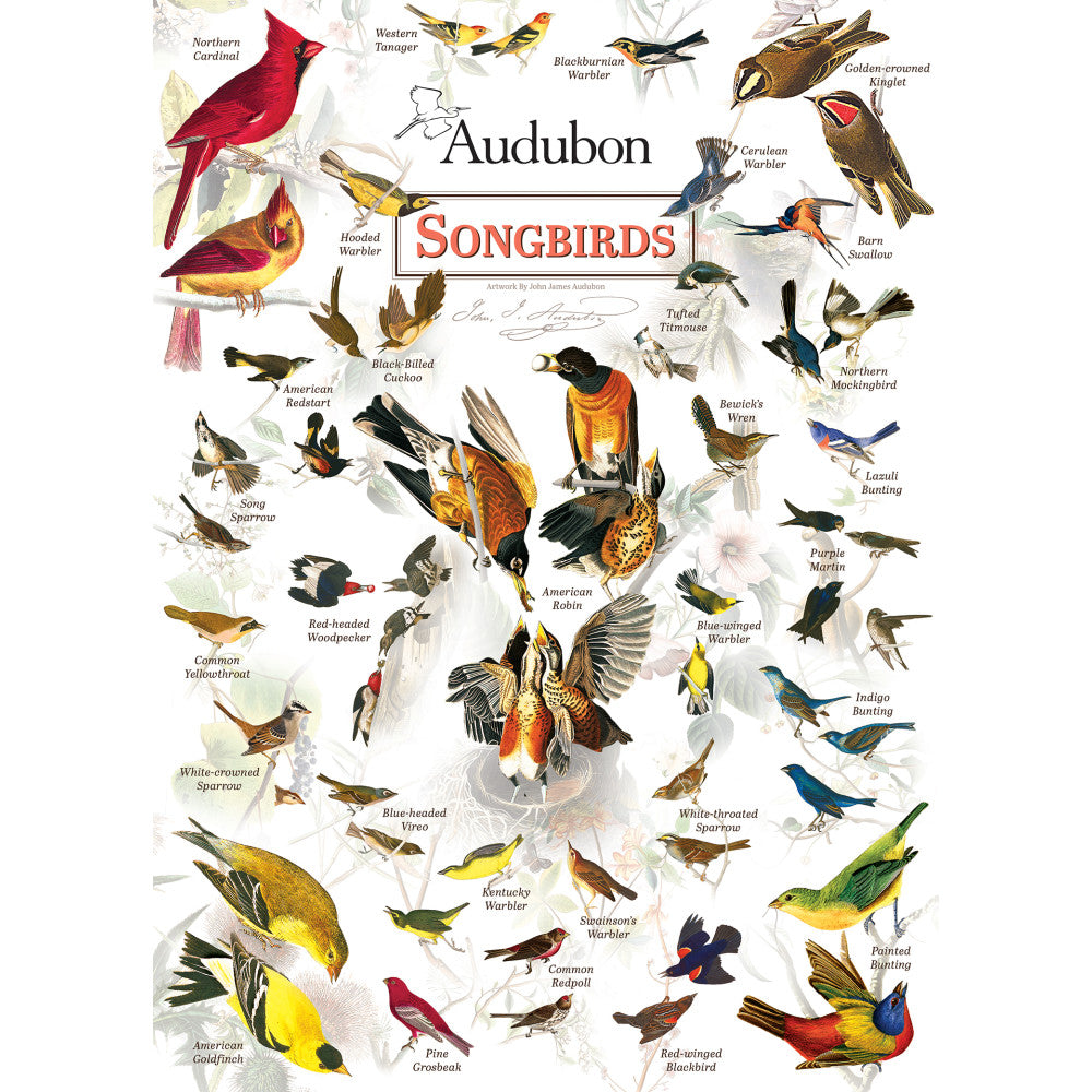 ODP Audubon Songbirds - 300 Piece Puzzle