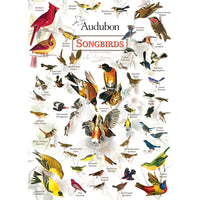 ODP Audubon Songbirds - 300 Piece Puzzle