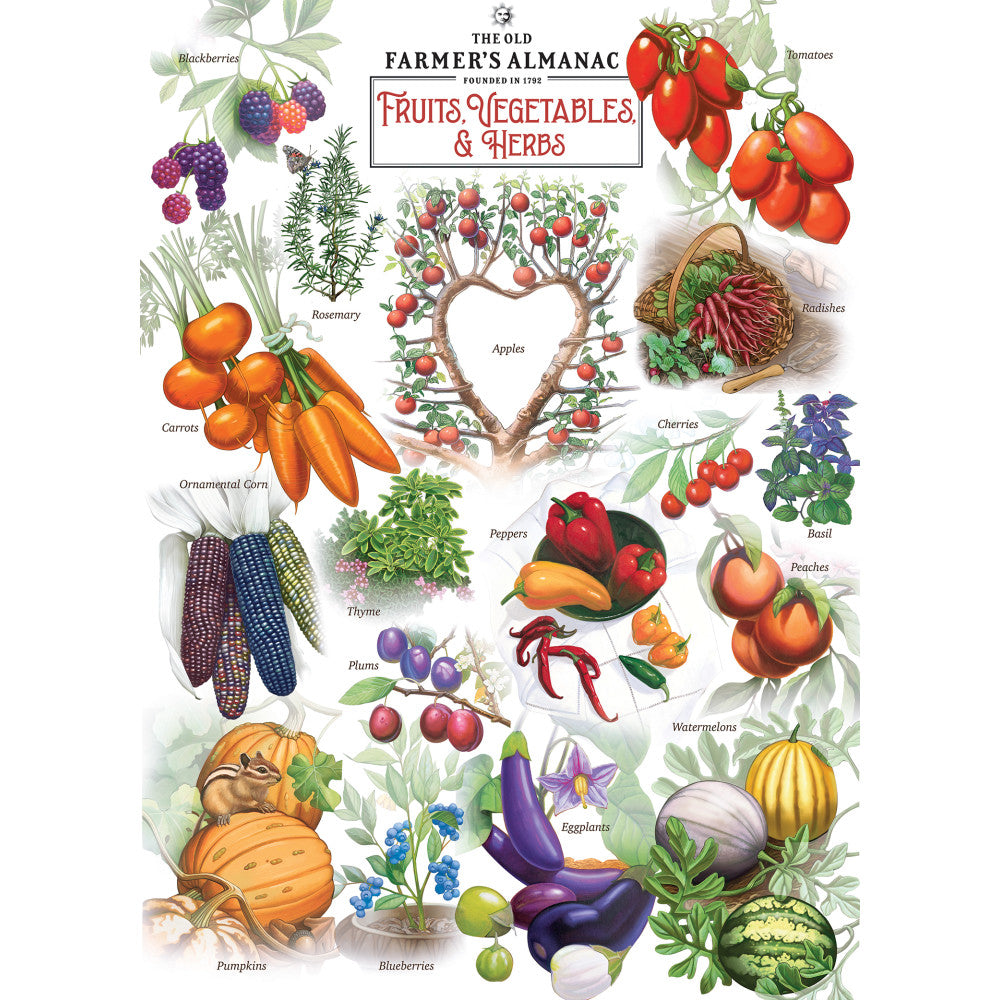ODP Fruits, Vegetables, & Herbs - 500 Piece Puzzle