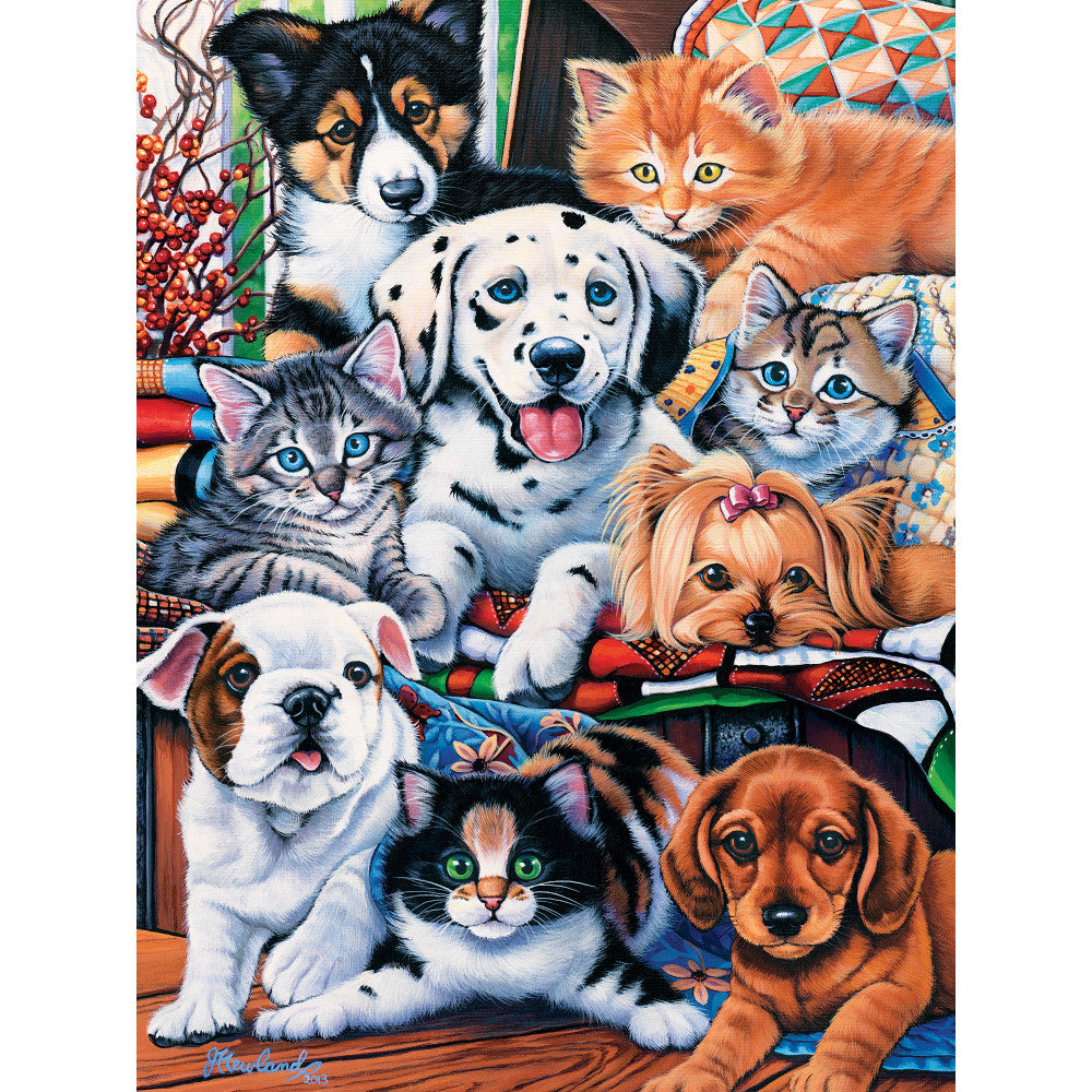 ODP Hide and Seek - 500 Piece Puzzle
